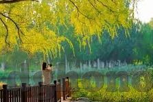 成人18视频-成人18视频，网络时代下的伦理与界限