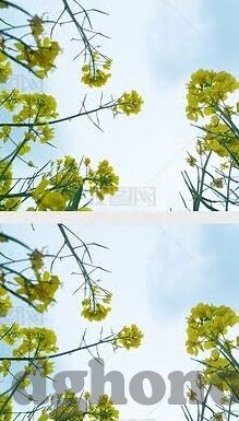 粉嫩av一区二区三区麻豆-呵护好心灵之地，理性对待网络平台