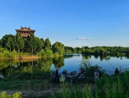 麻豆文化传媒app免费的-麻豆文化传媒App，免费时代的娱乐新选择
