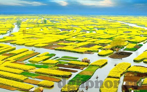 糖心app软件下载安卓-揭秘糖心app，安卓用户不可错过的社交新宠